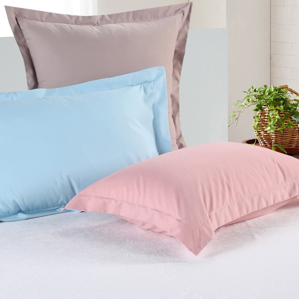 Standard Size Brushed 100% Microfiber Pillowcases